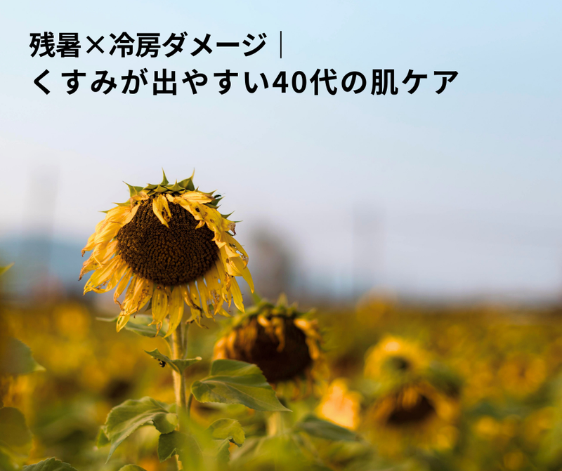 残暑×冷房ダメージで水分不足・皮脂過多・くすみが出やすい40代の肌ケア