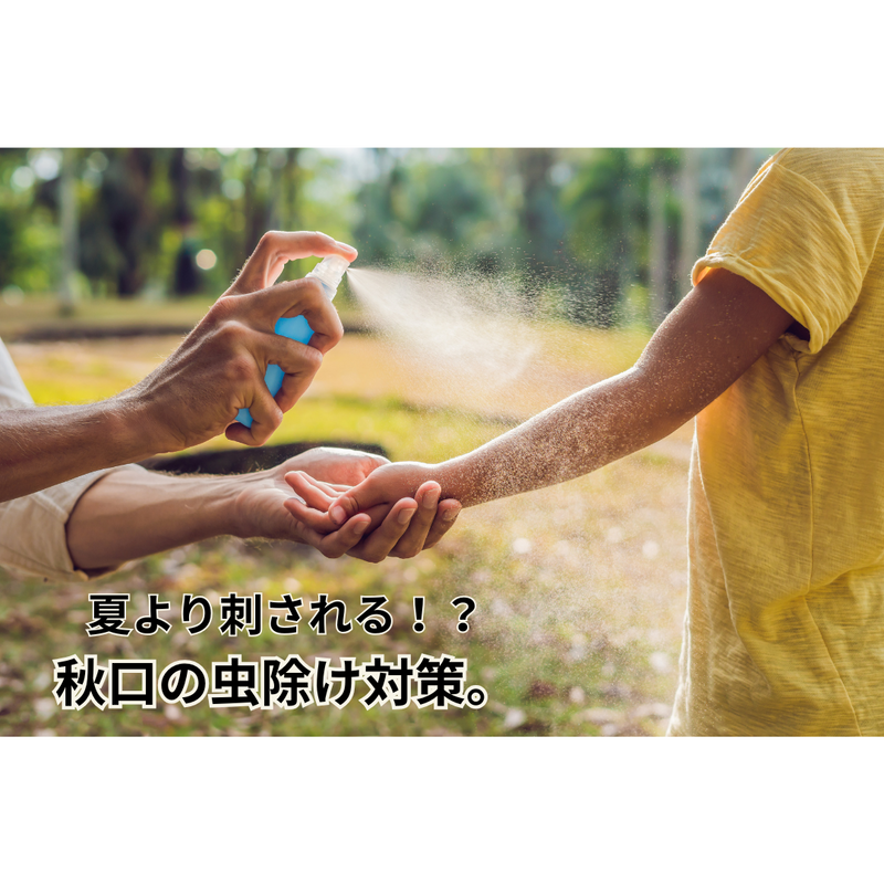 夏より刺される！秋口の虫除け対策